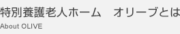 特別養護老人ホーム オリーブとは